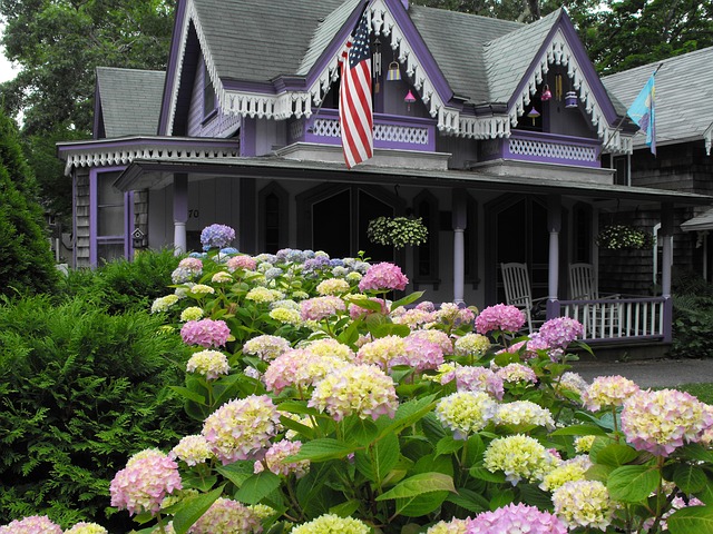 Martha's Vineyard purple house